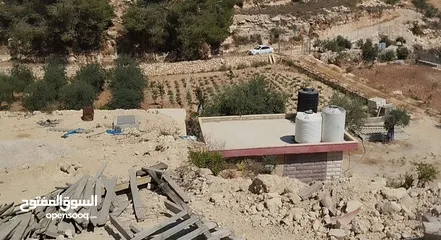  2 ارض معمرة ومرتبة (قريبة على كافيه زيتونة )