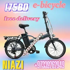  2 electric bicycle