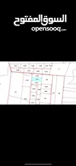  3 ارض مفروزه للبيع لكامل القطعه