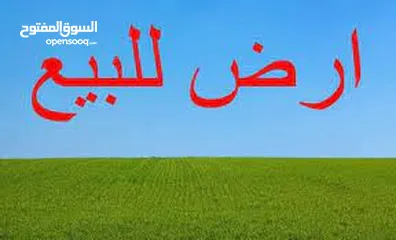  1 اراض استثمارية لااااتعوض -زراعية في قرية الاشرفية   من مالكها /10دونم