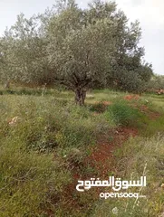  1 ارض مربعه الشكل اطلاله مميزه واصلها جميع الخدمات 650 متر
