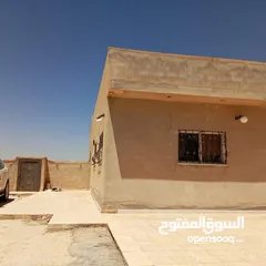  1 بيت اللبيع المنصوره طريق مغير السرحان