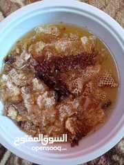  1 البيع عسل سدر ابو طويق بشمع متوفر نص كيلو فقط