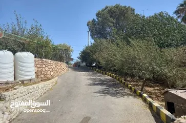  5 مزرعه للبيع في زي
