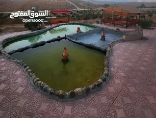  23 مزرعة بلعما المراجم قرب مدرسة المراجم 65الف مسبح ملعب كرةقدم وسلة ونافورة وشلال وكوخ وجلسات وشجر