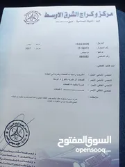  11 بانوراما بسعر حرق6,3