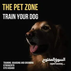 18 Train your dog