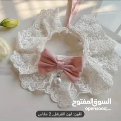  9 قطة هملايا