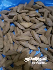  1 عود موروكي اندونيسي فاخر درجه ثانيه