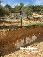  16 قطع سكنيه (سكن ج ) منطقه(عين جنا/ عجلون) وسط البلد،مرتفعه واطلاله جميلة على القلعة واصل جميع الخدمات