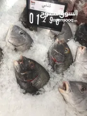  11 ‏للبيع سمك