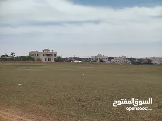  3 ارض للبيع الطنيب حوض (4)  العيادات بالقرب من مشروع الشهد  مساحة 10420 متر