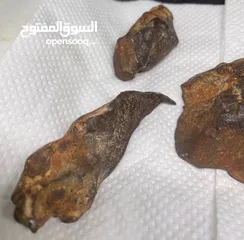  28 Jabal Kamel Hadidi meteorites, Tripoli, Libya, weight: one kilogram and 200 gram