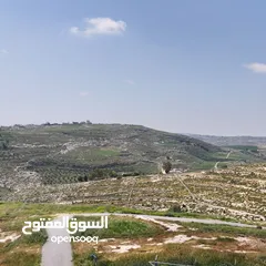  2 ارض مميزه للبيع بمساحه 950م و بسعر تنافسي من المالك _ شارع مادبا الغربي _طريق الجامعة الالمانية