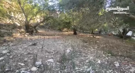  1 ارض 240 متر مربع بسعر لا يعوض