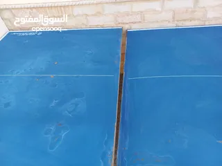  5 كرة الطاوله - Table Tennis