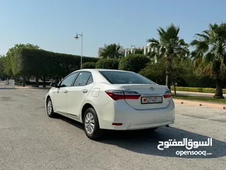  6 Toyota Corolla 2019 No accident history