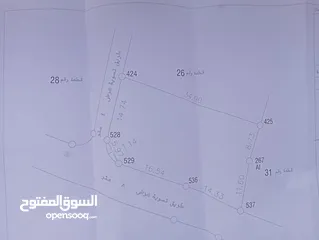 2 قطعة أرض 660 متر استثمارية مميزة في قرية الراس / طولكرم