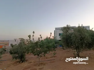  12 منزل مستقل للبيع
