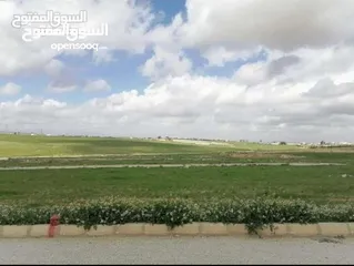  1 ارض  للبيع في رجم عميش