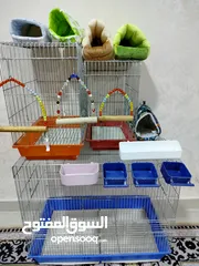  2 اقفاص واكسسوارات طيور للبيع
