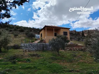  2 لقطه مزرعه مع بيت ريفي 48 الف قابل للتفاوض منطقه ريف جرش