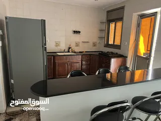  2 شقه واسعه مفروشة للبيع - حي المصايف