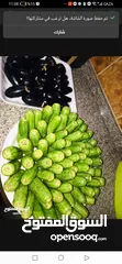  2 جميع مأكولات الكرشات الفوراغ