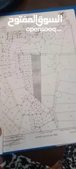  1 ارض في ماعين للبيع