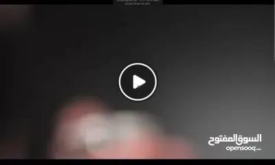  17 ساعة سويسرية جديدة بالكرتونة
