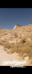  2 ارض للبيع في الشواورة