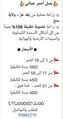  4 البصل عماني عضوي