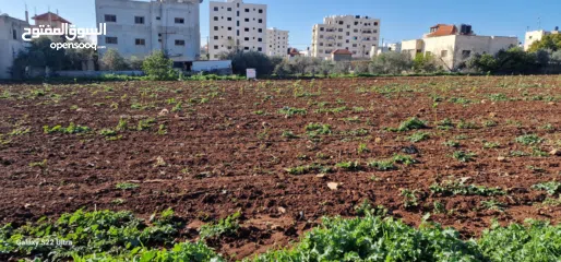  1 ارض للبيع في منطقة الجابريات