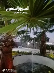  3 فيلا سوبر ديلوكس للبيع