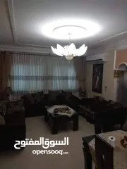  2 شقة مفروشة للايجار في الماصيون