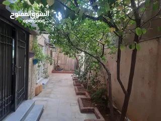  19 شقه مميزه للبيع