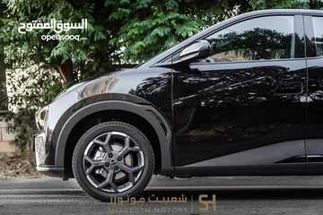  21 Byd Seagull 2024