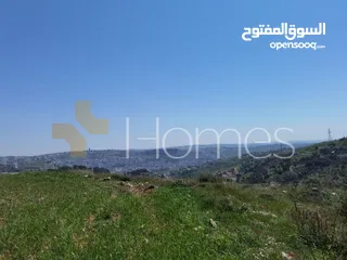  4 ارض سكنية على شارعين للبيع في ابو الفحيص، بمساحة ارض 2000م