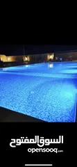  24 (مزرعه للايجار اليومي والحفلات اكبر بركه سباحه بالمنطقه 4 غرف نوم طريق المطار بالقرب من المطار
