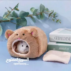  6 هامستر للبيع