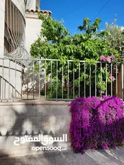  8 عماره للبيع بضاحيه الرشيد
