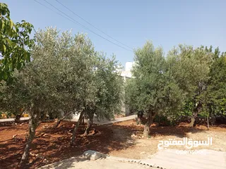  16 منزل شبه فيلا للايجار يصلح لعمل حضانه او روضه او مركز تحفيظ قرآن او شركه والعديد من الأعمال التجاريه