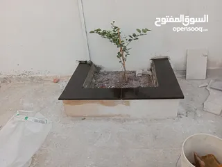  6 نوافير وشلالات وبابكيو حواض زريعه جميع انواع الحجر البناء والديكورات