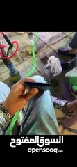  13 جهاز. ايفون15 pro max جهاز وكاله بحالة الجديد الجهااز  بطاريتو90 مساحه256 نموذجM شرق ارسط الاه ببارك