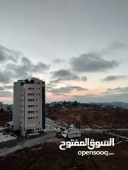  9 روف بسردا بسعر مرتب
