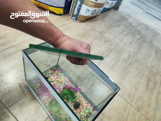  5 حوض سمك مجهز عبي مي و حط سمكاتك ، الطول 32 سم ارتفاع 23 سم عمق 21 سم