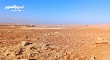  1 ارض استثمارية مميزة/ مزرعة تميرة للبيع بسعر مناسب جدا من المالك مباشرة/تم بيع قطعتين و باقي قطعتين