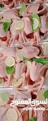  1 زغاليل  ارانب  بط  ديوك بلدي  حبش