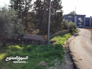  6 قطعة أرض مميزة في السلط الصبيحي سيحان بسعر مغري بمنطقة جميلة