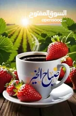  2 شقه للبيع...  في اربد  الصريح./بألقرب من مركز لايتام  منطقه جميله جدا وهادئه  طابق تاني فني // مساحه